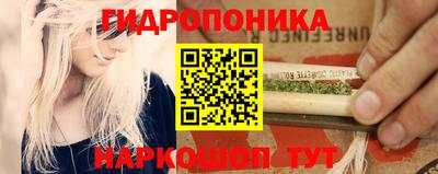 СК Заводоуковск