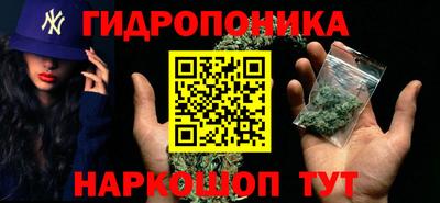 СК Заводоуковск