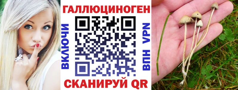 Галлюциногенные грибы MAGIC MUSHROOMS  наркошоп  Магадан 