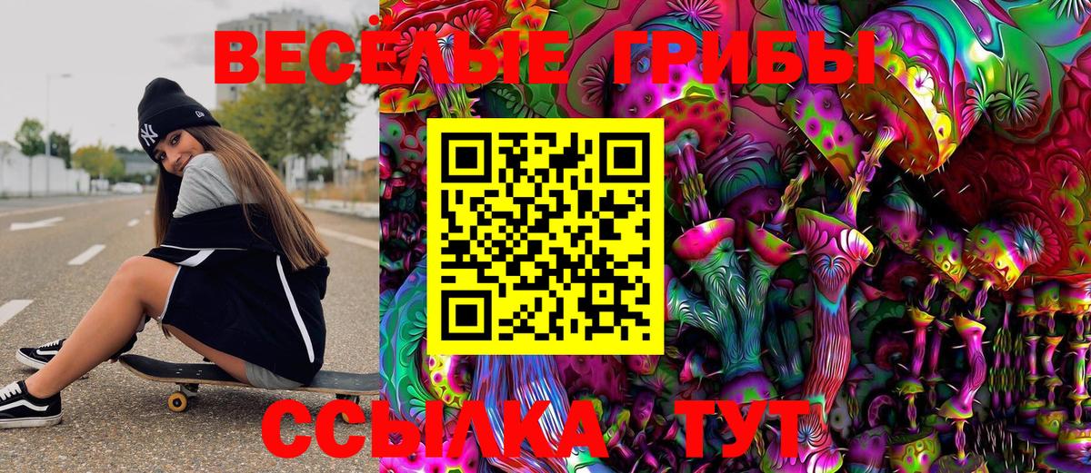 Псилоцибиновые грибы мицелий Магадан