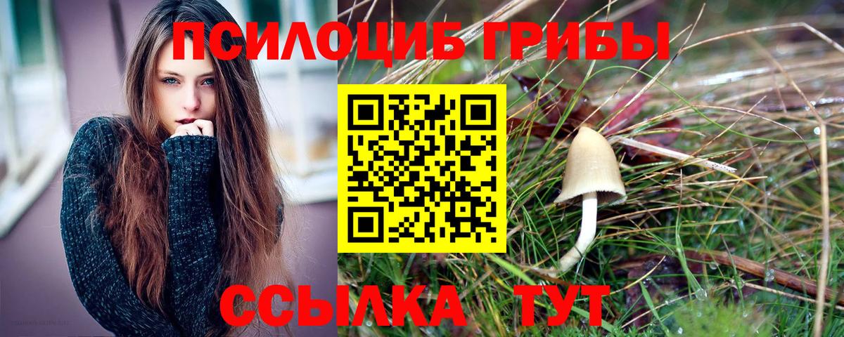 Псилоцибиновые грибы мицелий  Вход с VPN  Магадан 